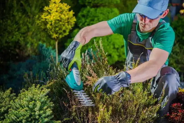 landscaping services Downsville